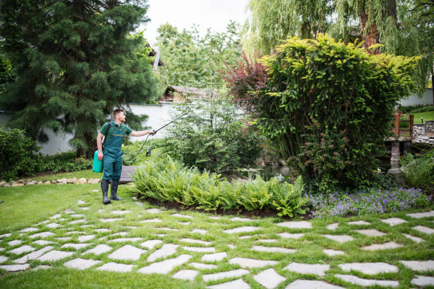 Best Commercial Pest Control Services  in Salix, PA
