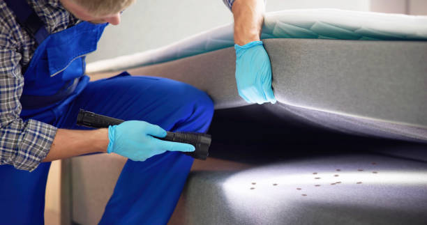 Reliable Salix, PA Pest Control Solutions