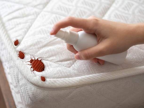 Best Bed Bug Extermination  in Salix, PA